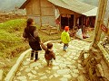 Sapa43