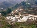 Sapa28