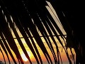 phu quoc20