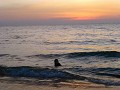 phu quoc52