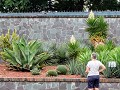 Sydney, botanische tuin m succulenten, vetplanten