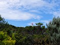 Great Ocean Road, Split Point Lighthouse