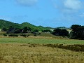 Great Ocean Road, op weg naar Cape Otway Lichtstat