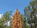 Darwin, op weg naar Lichtfield, termietenheuvels
