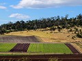 Tasmanië, Richmond