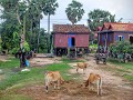 van Phnom Penh naar Siem Reap