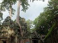 Cambodja, Siem Reap, Ta Prohm, (Tomb Raider)