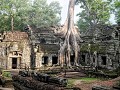Cambodja, Siem Reap, Ta Prohm, (Tomb Raider)