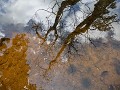 Cambodja, Neak Pean