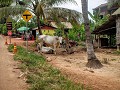 Siem Reap, omgeving