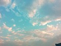 CBB4A296-93B6-4CE5-9F0A-80DFC243C597