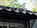 Hutong