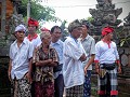 Omgeving Ubud. Ceremonie, hanengevechten