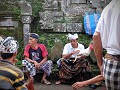 Omgeving Ubud. Ceremonie, hanengevechten