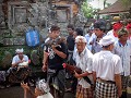 Omgeving Ubud. Ceremonie, hanengevechten