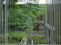 Museum voor Westerse Kunst, Tokio, Le Corbusier