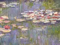 Claude Monnet, waterlelies, 1916