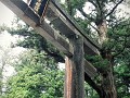 Tosho-Gu Shrine, inkomstpoort