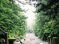 De weg naar Tosho-Gu Shrine