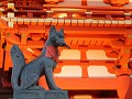 Fushimi Inari Taisha, de vos als bewaker