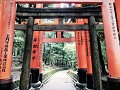 Fushimi Inari Taiga