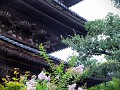  Yasaka-no-To-Pagoda