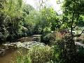 "Monet"tuin voor het Chichu Art Museum