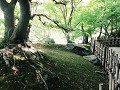  Takamatsu, Ritsurin Koen park