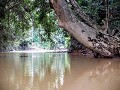Lemanak rivier, Sarawak, Borneo