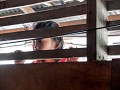 Iban longhouse, Sarawak, Borneo 