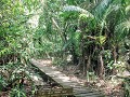 Bako National Parc