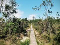 Bako National Park, trektocht