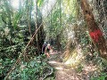 Bako National Park, trektocht