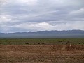 Op weg naar Khongor Sand Dunes 