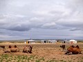Dag twee in Khongor Sand Dunes 