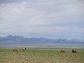 Op weg naar Khongor Sand Dunes 