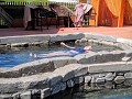Slapen op het water?