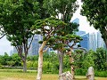 3D4D2306-3AB4-46C0-973A-C8478DC9B0EF