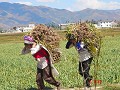China-Yunnan: Shaping, omgeving