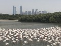 Dubai, het wildlife centrum 