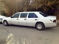 Onze limousine (voor even)