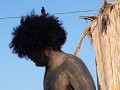 dode zee - birthwatching