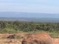 IMG 6052