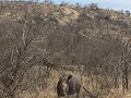 IMG 6357