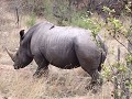 IMG 6350