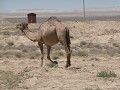 bakou-samerkant-uzbekistan-2106132180
