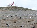 op-pinguinbezoek-2011325817