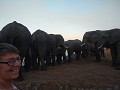 Elephant Sands Nata Botswana