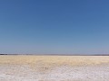 Central Kalahari 