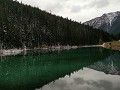 Onderweg - olive lake